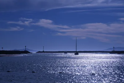 DSC_0801 (Large).JPG